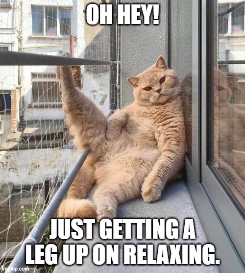 funny cat | OH HEY! JUST GETTING A LEG UP ON RELAXING. | image tagged in kitty cat | made w/ Imgflip meme maker