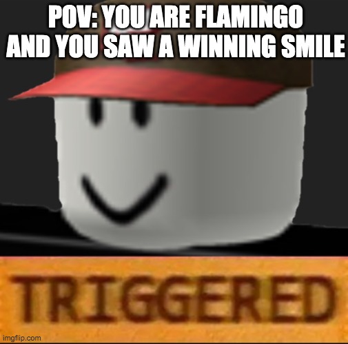 Roblox Triggered | POV: YOU ARE FLAMINGO AND YOU SAW A WINNING SMILE | image tagged in roblox triggered | made w/ Imgflip meme maker