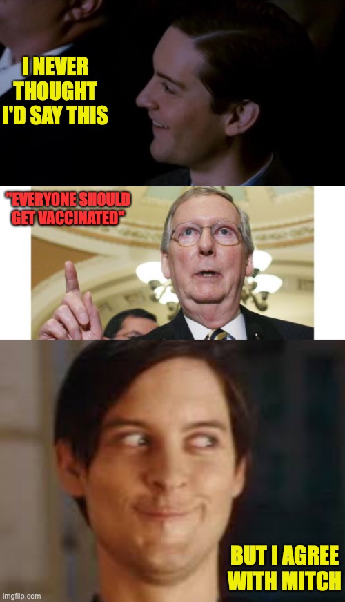I NEVER THOUGHT I'D SAY THIS; "EVERYONE SHOULD GET VACCINATED"; BUT I AGREE WITH MITCH | image tagged in spiderman 3,memes,mitch mcconnell,or maybe i never was those other idealogies | made w/ Imgflip meme maker