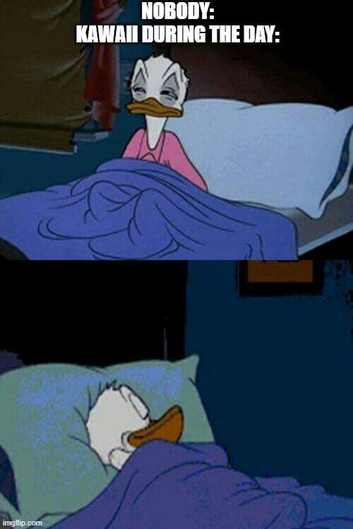 E | NOBODY:
KAWAII DURING THE DAY: | image tagged in sleepy donald duck in bed | made w/ Imgflip meme maker