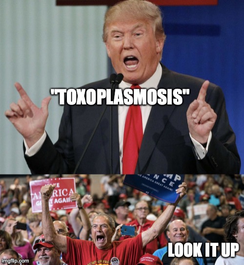 Trump Rally | "TOXOPLASMOSIS"; LOOK IT UP | image tagged in trump rally | made w/ Imgflip meme maker