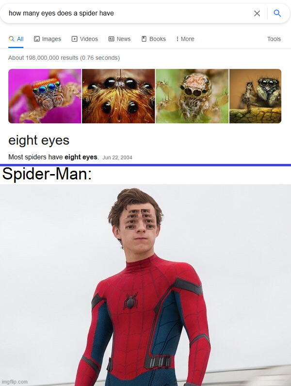 True face | image tagged in spidre-man with 8 eyes | made w/ Imgflip meme maker
