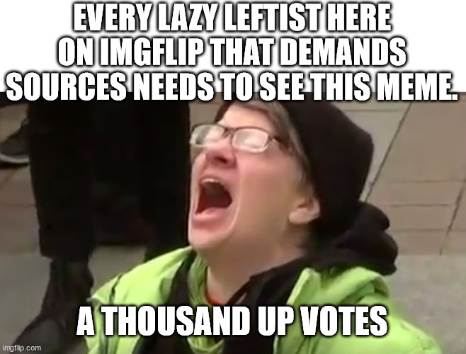 Screaming Liberal  | EVERY LAZY LEFTIST HERE ON IMGFLIP THAT DEMANDS SOURCES NEEDS TO SEE THIS MEME. A THOUSAND UP VOTES | image tagged in screaming liberal | made w/ Imgflip meme maker