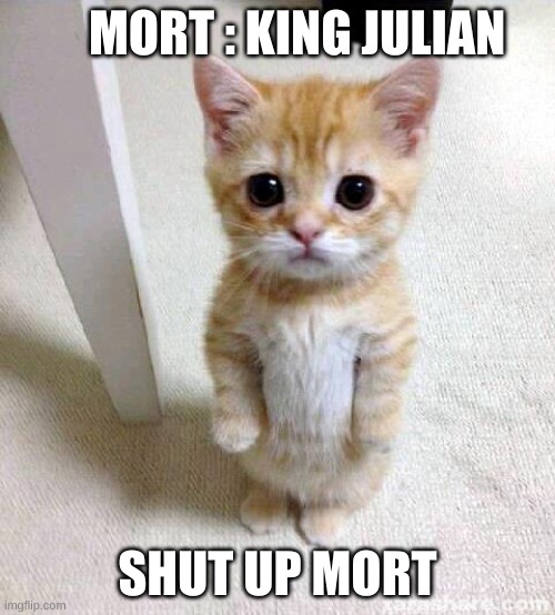 Cute Cat | MORT : KING JULIAN; SHUT UP MORT | image tagged in memes,cute cat | made w/ Imgflip meme maker