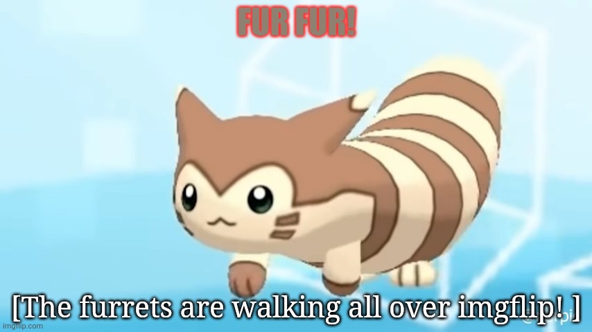 Furret Walcc | FUR FUR! [The furrets are walking all over imgflip! ] | image tagged in furret walcc | made w/ Imgflip meme maker