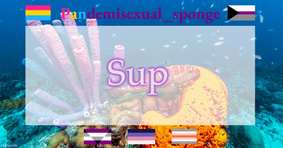 Pandemisexual_sponge temp | Sup | image tagged in pandemisexual_sponge temp,demisexual_sponge | made w/ Imgflip meme maker