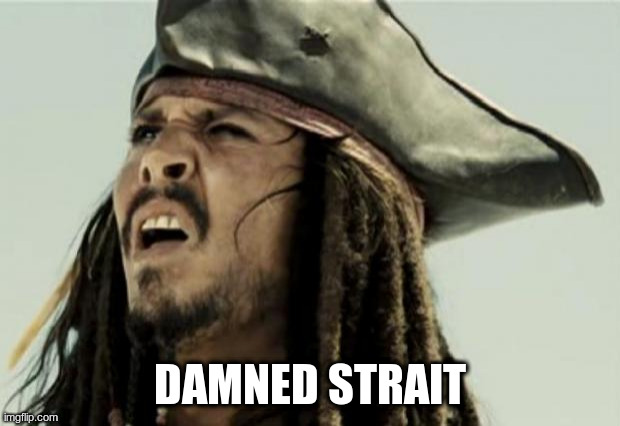 confused dafuq jack sparrow what | DAMNED STRAIT | image tagged in confused dafuq jack sparrow what | made w/ Imgflip meme maker