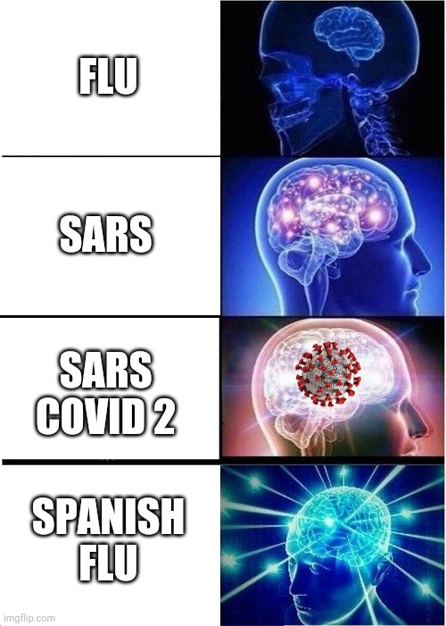 Expanding Brain | FLU; SARS; SARS COVID 2; SPANISH FLU | image tagged in memes,expanding brain | made w/ Imgflip meme maker