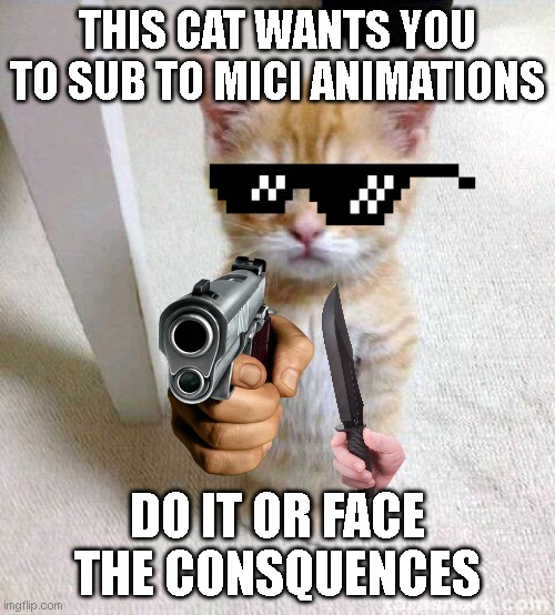 DO IT. | THIS CAT WANTS YOU TO SUB TO MICI ANIMATIONS; DO IT OR FACE THE CONSQUENCES | image tagged in memes,cute cat | made w/ Imgflip meme maker