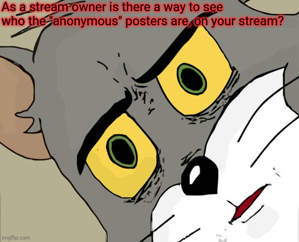 How can you check anonymous users? | As a stream owner is there a way to see who the "anonymous" posters are, on your stream? | image tagged in memes,unsettled tom,imgflip,questions | made w/ Imgflip meme maker