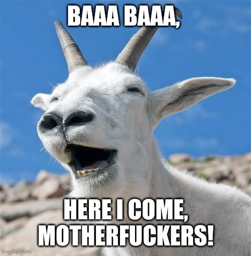 Laughing Goat Meme | BAAA BAAA, HERE I COME, MOTHERFUCKERS! | image tagged in memes,laughing goat | made w/ Imgflip meme maker