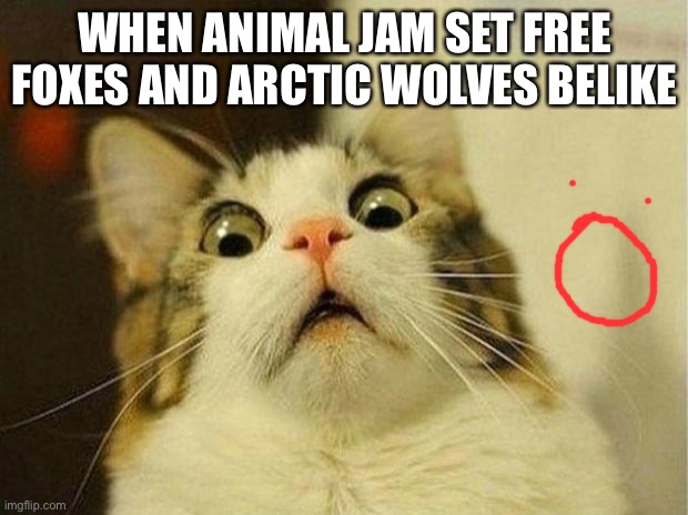 Fox and wolves | WHEN ANIMAL JAM SET FREE FOXES AND ARCTIC WOLVES BELIKE | image tagged in memes,scared cat | made w/ Imgflip meme maker