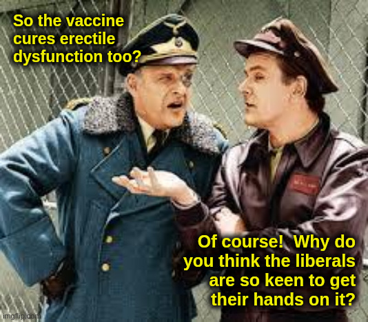 Vaccine Hogan | So the vaccine
cures erectile
dysfunction too? Of course!  Why do
you think the liberals
are so keen to get
their hands on it? | image tagged in nazi,vaccine,covid,liberals,hogan | made w/ Imgflip meme maker