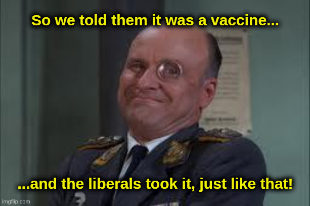 Vaccine Klink | So we told them it was a vaccine... ...and the liberals took it, just like that! | image tagged in nazi,vaccine,covid,liberals,klink | made w/ Imgflip meme maker