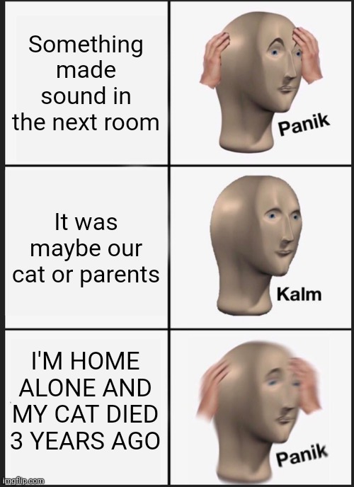 Actually happened to me | Something made sound in the next room; It was maybe our cat or parents; I'M HOME ALONE AND MY CAT DIED 3 YEARS AGO | image tagged in memes,panik kalm panik,home alone | made w/ Imgflip meme maker