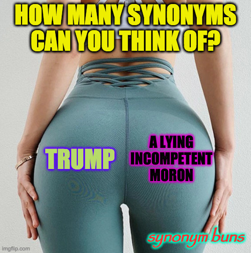 As another example, an arrogant misogynistic traitor  ( : | HOW MANY SYNONYMS CAN YOU THINK OF? TRUMP; A LYING
INCOMPETENT
MORON; synonym buns | image tagged in synonym buns,memes,trump,lying,incompetent,moron | made w/ Imgflip meme maker