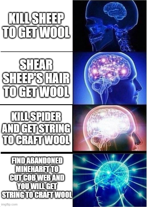 How to get wool in minecraft | KILL SHEEP TO GET WOOL; SHEAR SHEEP'S HAIR TO GET WOOL; KILL SPIDER AND GET STRING TO CRAFT WOOL; FIND ABANDONED MINEHARFT TO CUT COB WEB AND YOU WILL GET STRING TO CRAFT WOOL | image tagged in memes,expanding brain | made w/ Imgflip meme maker