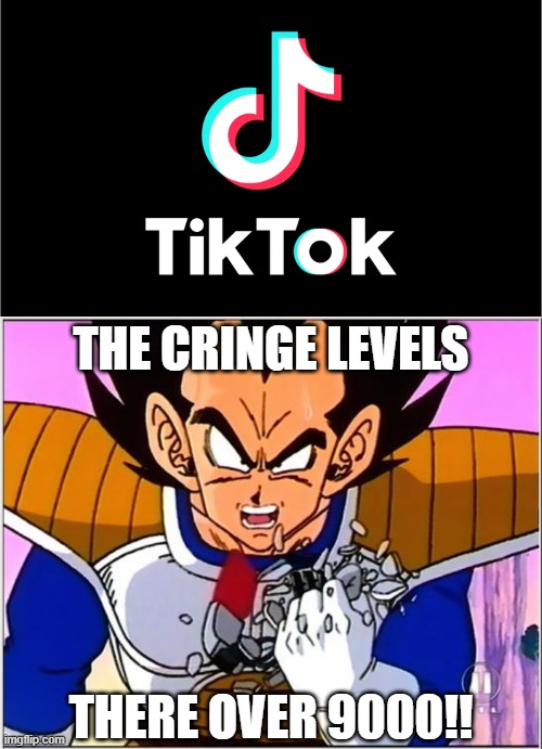 it be true do | THE CRINGE LEVELS; THERE OVER 9000!! | image tagged in tiktok logo,vegeta over 9000,cringe,barf,memes,dastarminers awesome memes | made w/ Imgflip meme maker