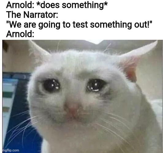 Meet Depresseed Arnold! |  Arnold: *does something*
The Narrator: "We are going to test something out!"
Arnold: | image tagged in crying cat,arnold,memes | made w/ Imgflip meme maker