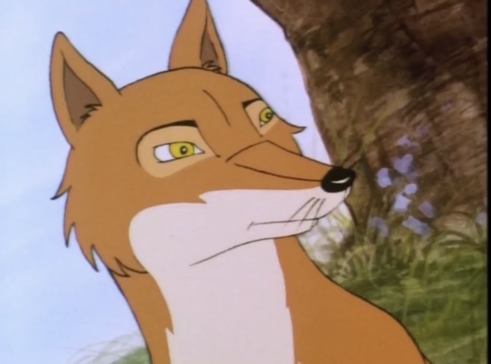 Fox looking at something weird Blank Meme Template