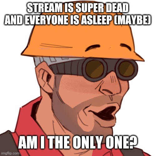 engineer pog | STREAM IS SUPER DEAD AND EVERYONE IS ASLEEP (MAYBE); AM I THE ONLY ONE? | image tagged in engineer pog | made w/ Imgflip meme maker