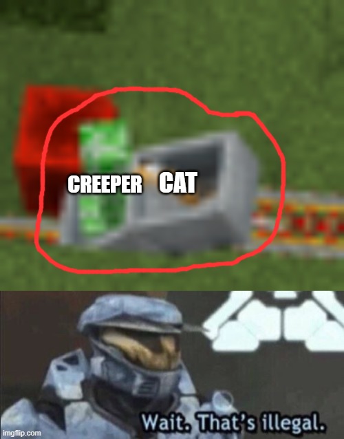 cat and creeper | CAT; CREEPER | image tagged in cat and creeper,wait that s illegal,memes | made w/ Imgflip meme maker