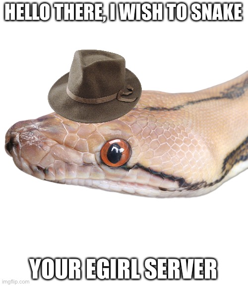 This is a snake | HELLO THERE, I WISH TO SNAKE; YOUR EGIRL SERVER | image tagged in ssnake,funny memes,memes,egirl | made w/ Imgflip meme maker