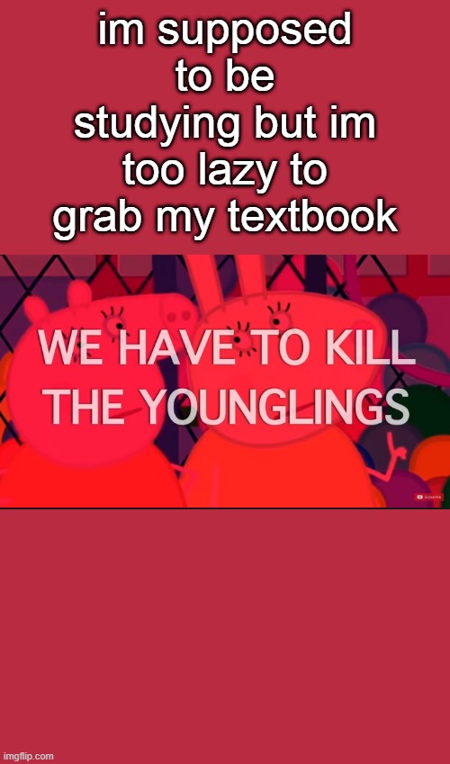 kinda stupid | im supposed to be studying but im too lazy to grab my textbook | image tagged in we have to kill the younglings | made w/ Imgflip meme maker
