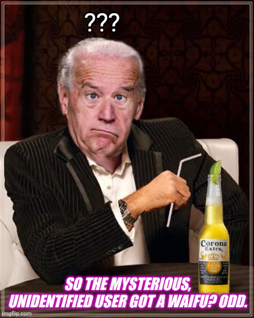The Most Confused Man In The World (Joe Biden) | ??? SO THE MYSTERIOUS, UNIDENTIFIED USER GOT A WAIFU? ODD. | image tagged in the most confused man in the world joe biden | made w/ Imgflip meme maker