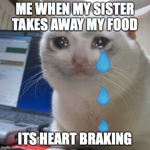 Crying cat | ME WHEN MY SISTER TAKES AWAY MY FOOD; ITS HEART BRAKING | image tagged in crying cat | made w/ Imgflip meme maker