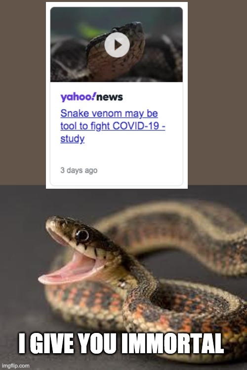 Snake give you immortal | I GIVE YOU IMMORTAL | image tagged in warning snake | made w/ Imgflip meme maker