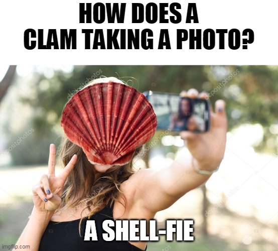HOW DOES A CLAM TAKING A PHOTO? A SHELL-FIE | image tagged in pun,puns,memes,eyeroll | made w/ Imgflip meme maker
