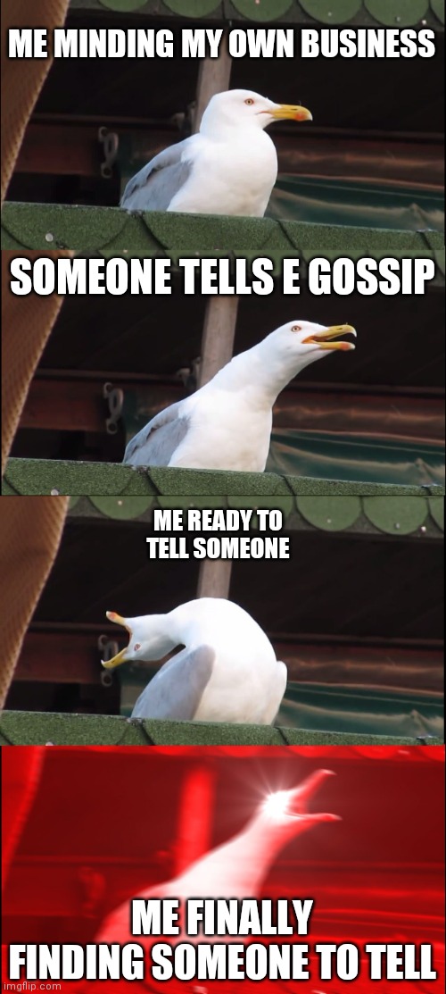 Gossip | ME MINDING MY OWN BUSINESS; SOMEONE TELLS E GOSSIP; ME READY TO TELL SOMEONE; ME FINALLY FINDING SOMEONE TO TELL | image tagged in memes,inhaling seagull | made w/ Imgflip meme maker