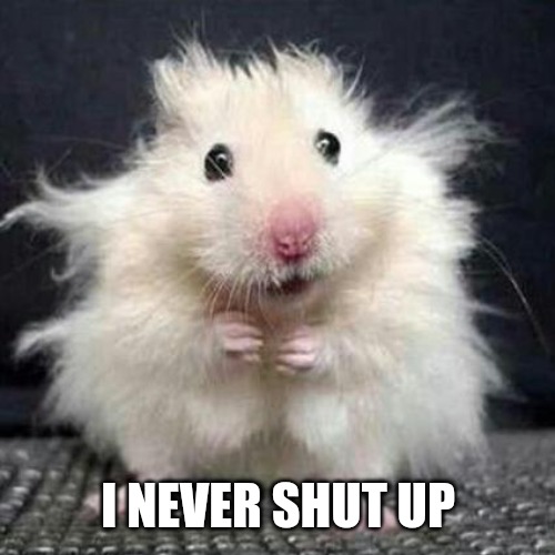 Stressed Mouse | I NEVER SHUT UP | image tagged in stressed mouse | made w/ Imgflip meme maker