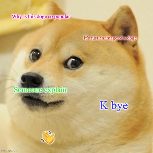 I don’t get why this image is so popular |  Why is this doge so popular; It’s just an image of a doge; Someone explain; K bye; 👋 | image tagged in memes,doge | made w/ Imgflip meme maker