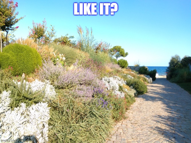 guess where | LIKE IT? | image tagged in guess where | made w/ Imgflip meme maker