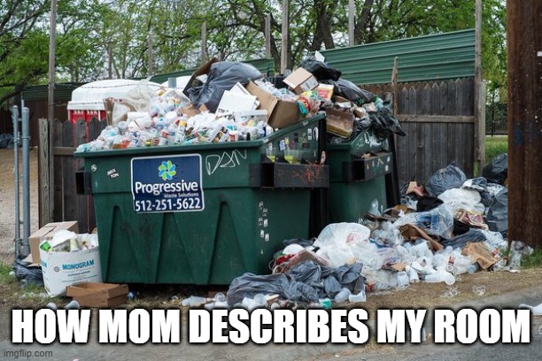 accurate | HOW MOM DESCRIBES MY ROOM | image tagged in garbage | made w/ Imgflip meme maker