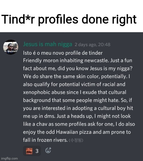 Honestly I had fun doing this | Tind*r profiles done right | image tagged in tinder,memes,dark humor,discord,fun | made w/ Imgflip meme maker