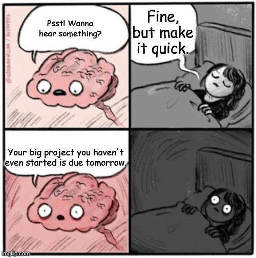 Brain Before Sleep | Fine, but make it quick. Psst! Wanna hear something? Your big project you haven't even started is due tomorrow. | image tagged in brain before sleep | made w/ Imgflip meme maker