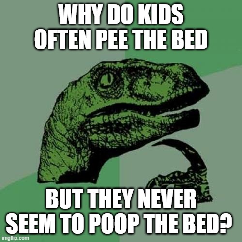 Philosoraptor Meme | WHY DO KIDS OFTEN PEE THE BED; BUT THEY NEVER SEEM TO POOP THE BED? | image tagged in memes,philosoraptor | made w/ Imgflip meme maker