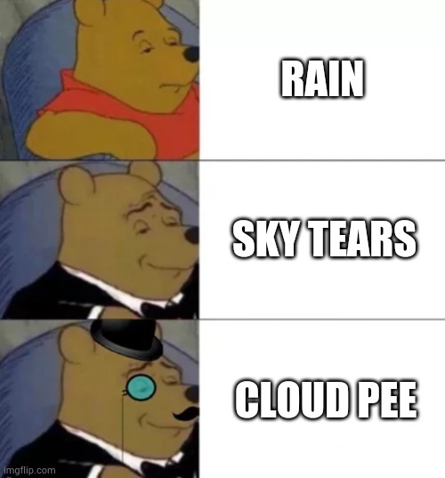 Jfjsjxhwsjdsjcjw | RAIN; SKY TEARS; CLOUD PEE | image tagged in fancy pooh | made w/ Imgflip meme maker