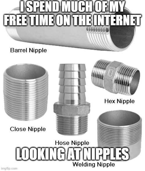 nipples | I SPEND MUCH OF MY FREE TIME ON THE INTERNET; LOOKING AT NIPPLES | image tagged in internet nipples,not porn | made w/ Imgflip meme maker