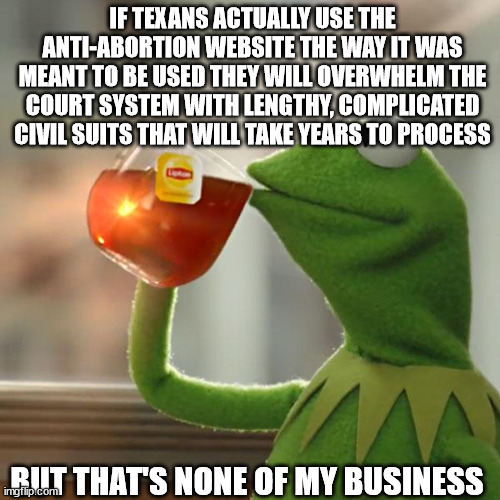 But That's None Of My Business | IF TEXANS ACTUALLY USE THE ANTI-ABORTION WEBSITE THE WAY IT WAS MEANT TO BE USED THEY WILL OVERWHELM THE COURT SYSTEM WITH LENGTHY, COMPLICATED CIVIL SUITS THAT WILL TAKE YEARS TO PROCESS; BUT THAT'S NONE OF MY BUSINESS | image tagged in memes,but that's none of my business,kermit the frog,AdviceAnimals | made w/ Imgflip meme maker