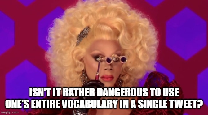 Ru Paul | ISN'T IT RATHER DANGEROUS TO USE ONE'S ENTIRE VOCABULARY IN A SINGLE TWEET? | image tagged in ru paul | made w/ Imgflip meme maker