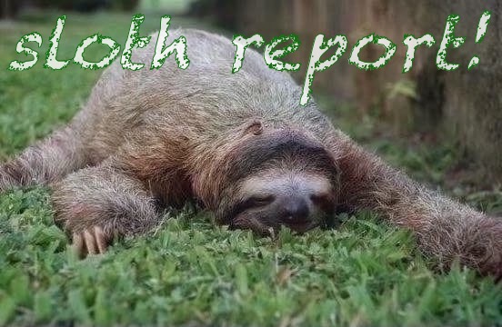 High Quality Sloth report Blank Meme Template
