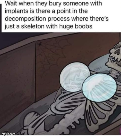 image tagged in funny memes | made w/ Imgflip meme maker
