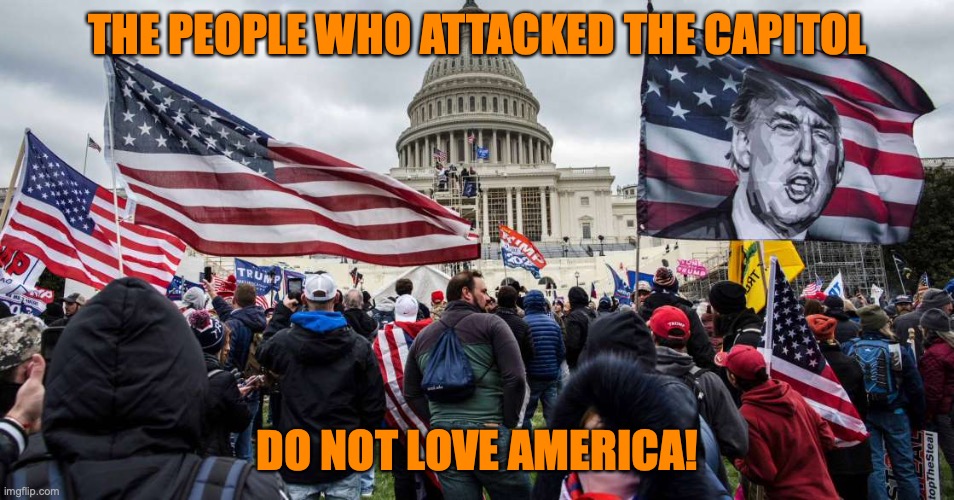 Capitol Hill riot | THE PEOPLE WHO ATTACKED THE CAPITOL; DO NOT LOVE AMERICA! | image tagged in capitol hill riot | made w/ Imgflip meme maker