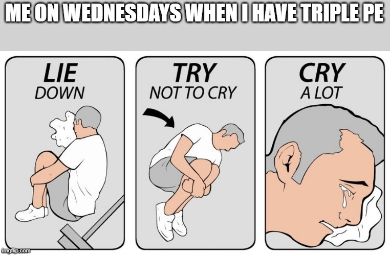 Yeah, last semester was s**t | ME ON WEDNESDAYS WHEN I HAVE TRIPLE PE | image tagged in try not to cry,pe,meme | made w/ Imgflip meme maker