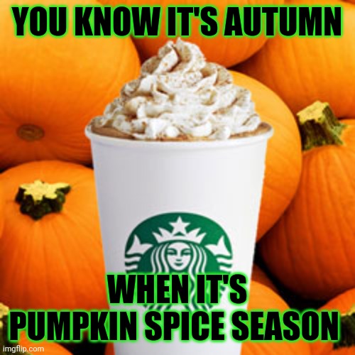 Pumpkin spice latte | YOU KNOW IT'S AUTUMN; WHEN IT'S PUMPKIN SPICE SEASON | image tagged in pumpkin spice latte,meme | made w/ Imgflip meme maker