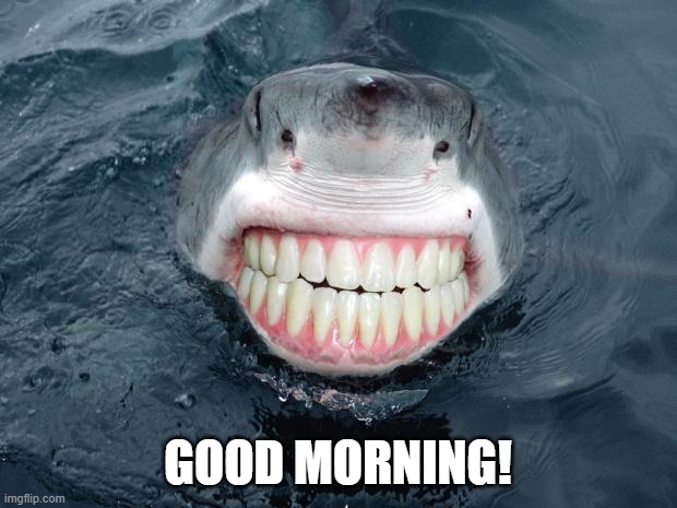 Good Morning | GOOD MORNING! | image tagged in sharkteeth | made w/ Imgflip meme maker